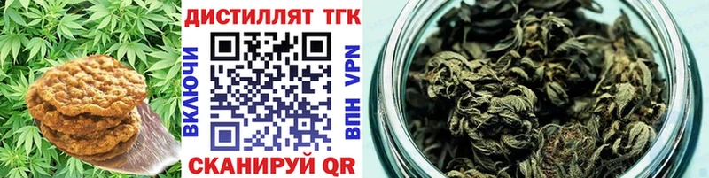 купить наркоту  Курчатов  Cannafood марихуана 