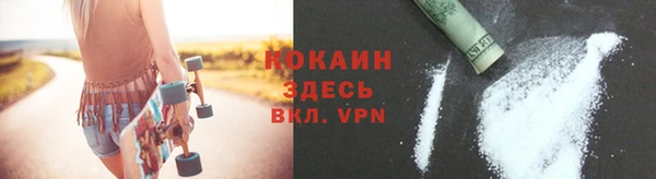 гидра Слюдянка