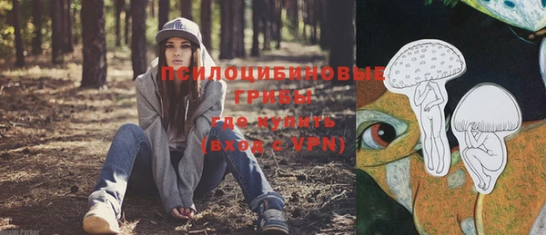 индика Баксан