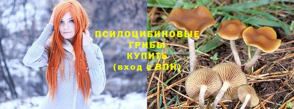 индика Баксан